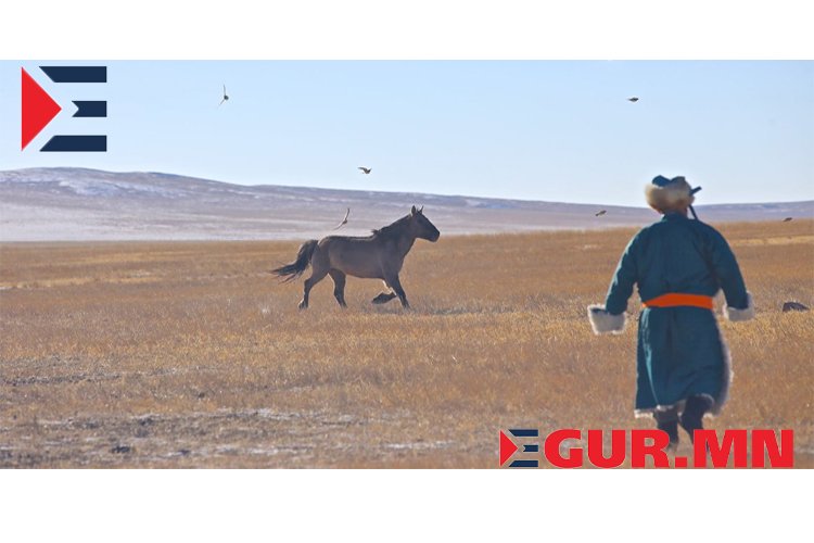 Би ийм эрэмдэг зэрэмдэг амьтан хэнд хэрэгтэй гэж хөгшин ээжийгээ зовоож бас чамаар тэжээлгэх хэрэг үү тэгж хэвтсэнээс архиа ууж яваад үхсэн минь дээр хэмээн хэлээд газарт лагхийн өвдөглөн суугаад уйлж эхэллээҮгүйдээ Болдоо минь чи миний анхны хайр чи надад хэрэгтэй хүүдээ хэрэгтэй ээждээ хэрэгтэй чамайгаа цэрэгт явхад жирэмсэн хоцорсоноо хэлэх боломж олдоогүй намайгаа уучлаарай гээд….